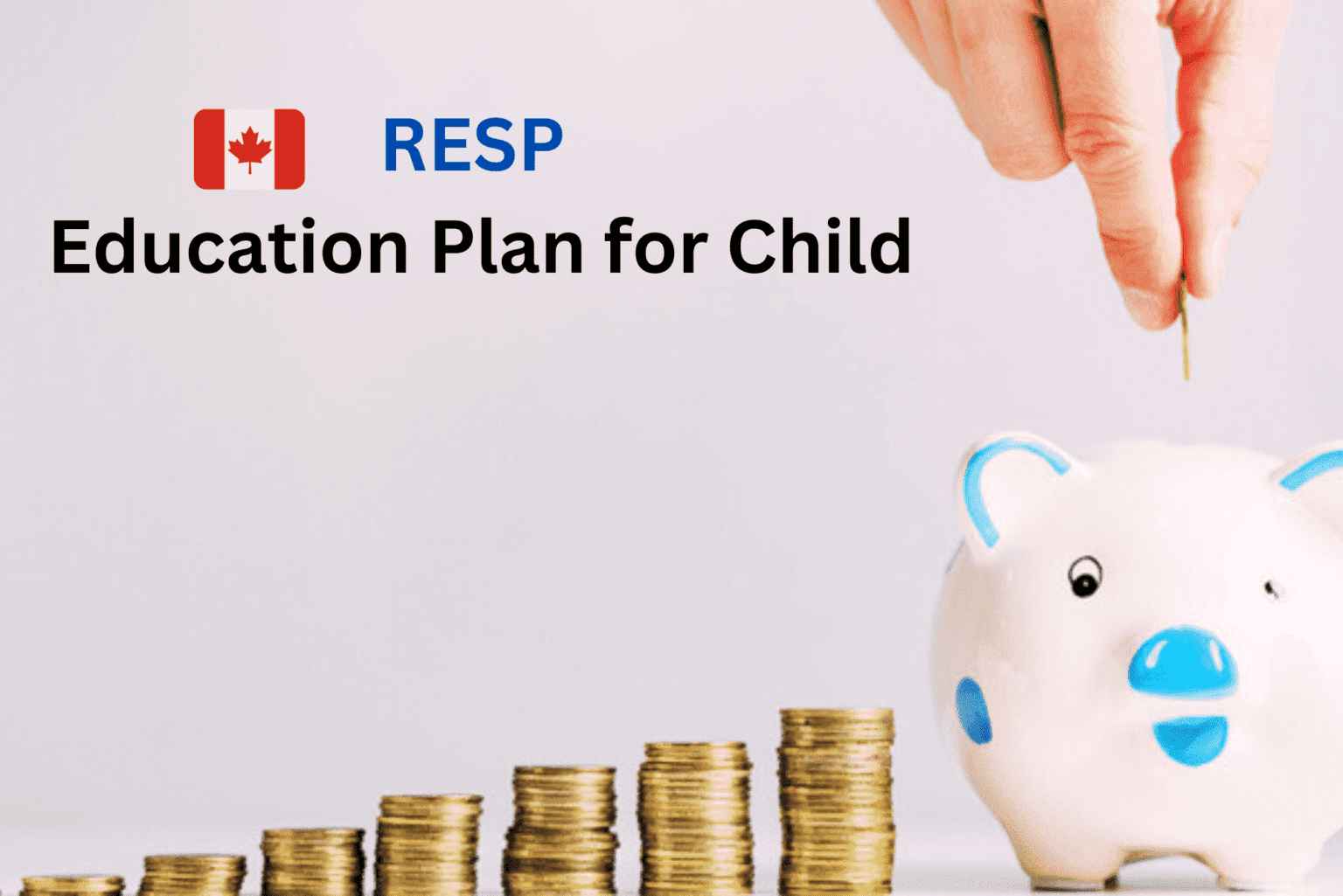 Registered Education Savings Plan (RESP)